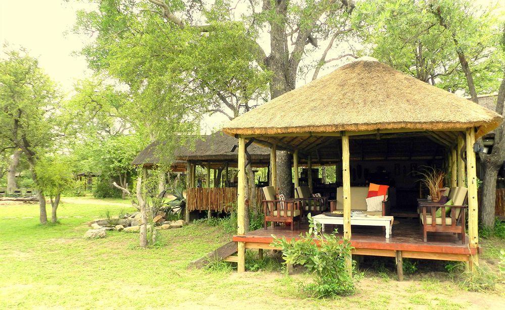 Shindzela Tented Camp Timbavati Game Reserve Eksteriør billede