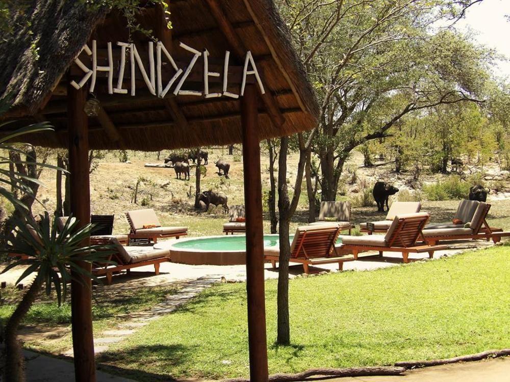 Shindzela Tented Camp Timbavati Game Reserve Eksteriør billede