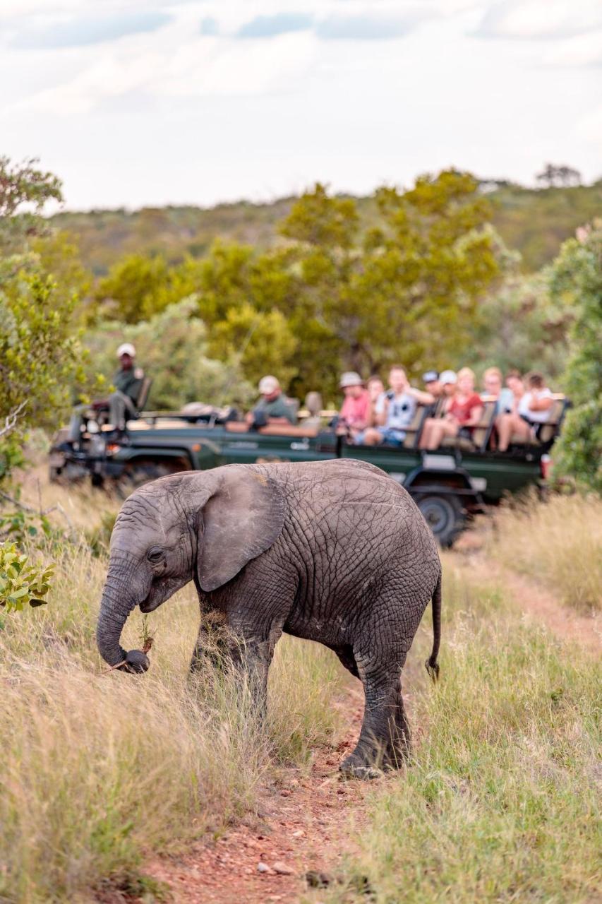Shindzela Tented Camp Timbavati Game Reserve Eksteriør billede