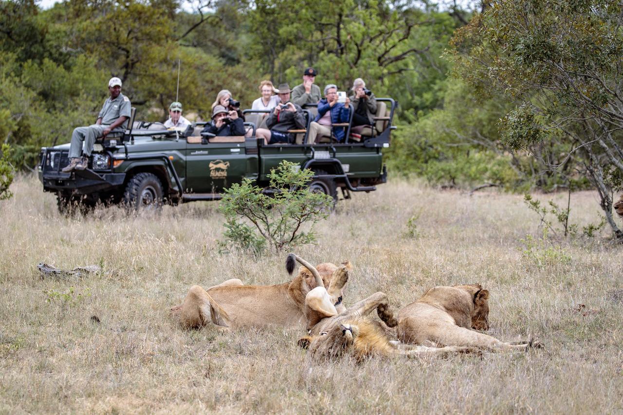 Shindzela Tented Camp Timbavati Game Reserve Eksteriør billede