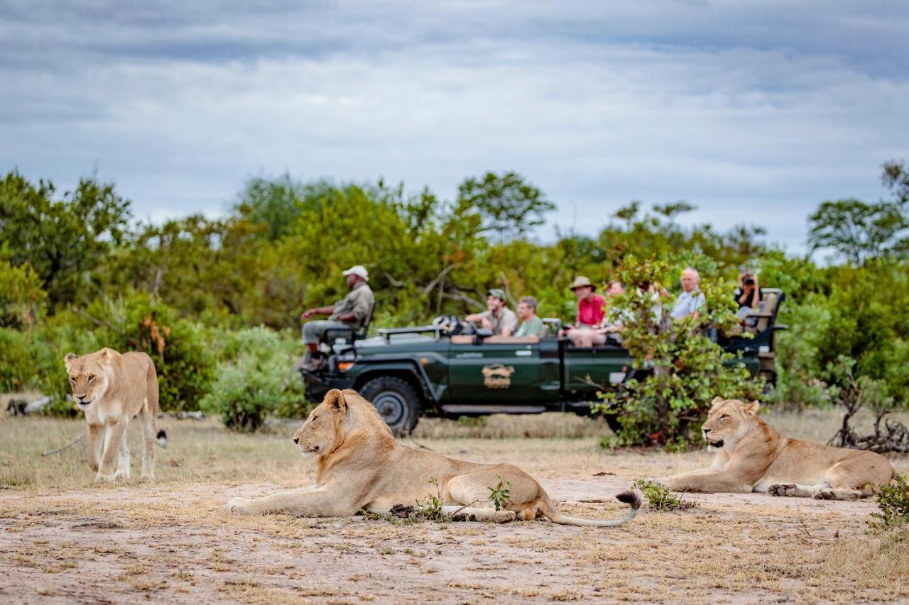Shindzela Tented Camp Timbavati Game Reserve Eksteriør billede