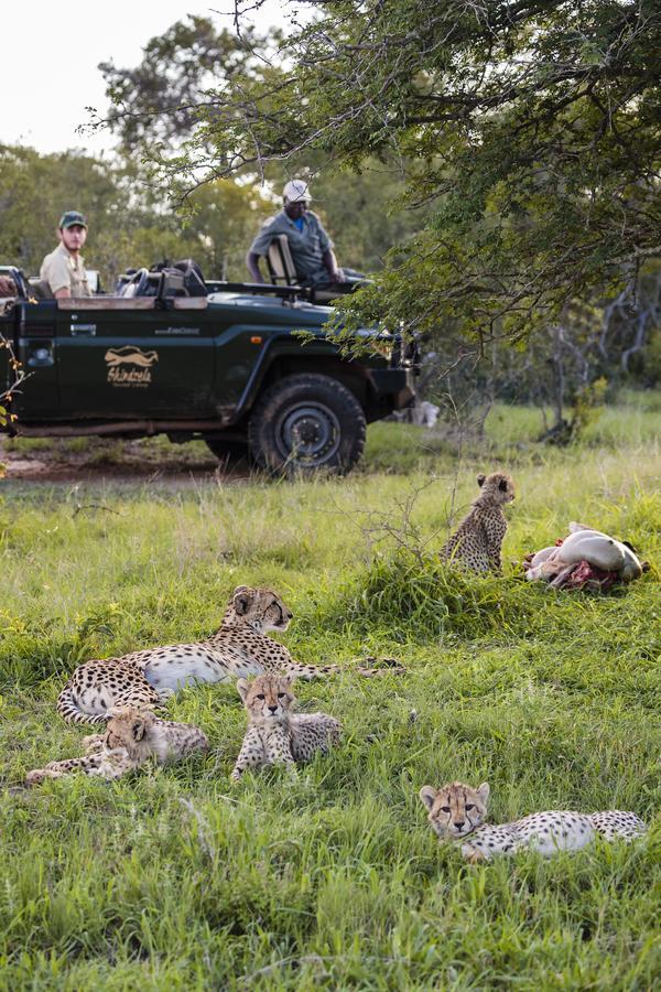 Shindzela Tented Camp Timbavati Game Reserve Eksteriør billede