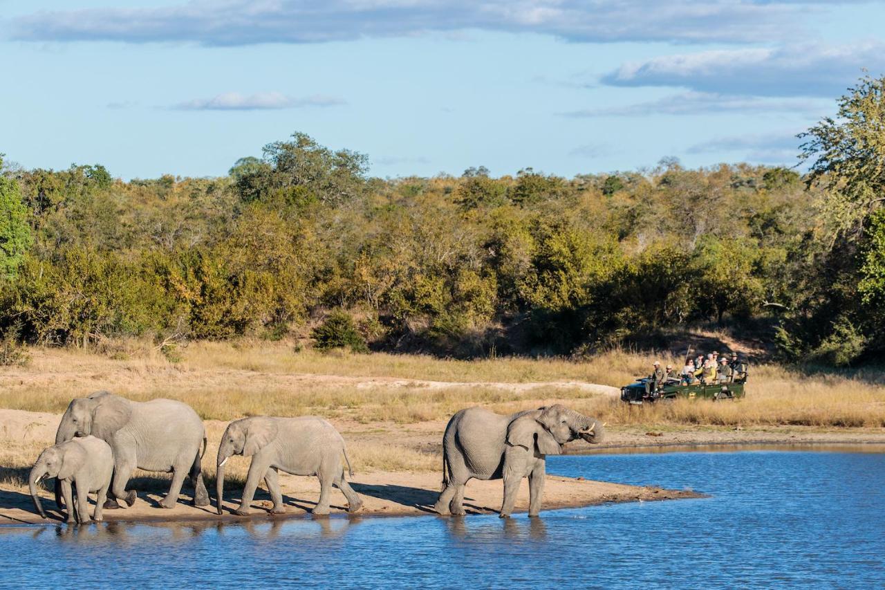 Shindzela Tented Camp Timbavati Game Reserve Eksteriør billede