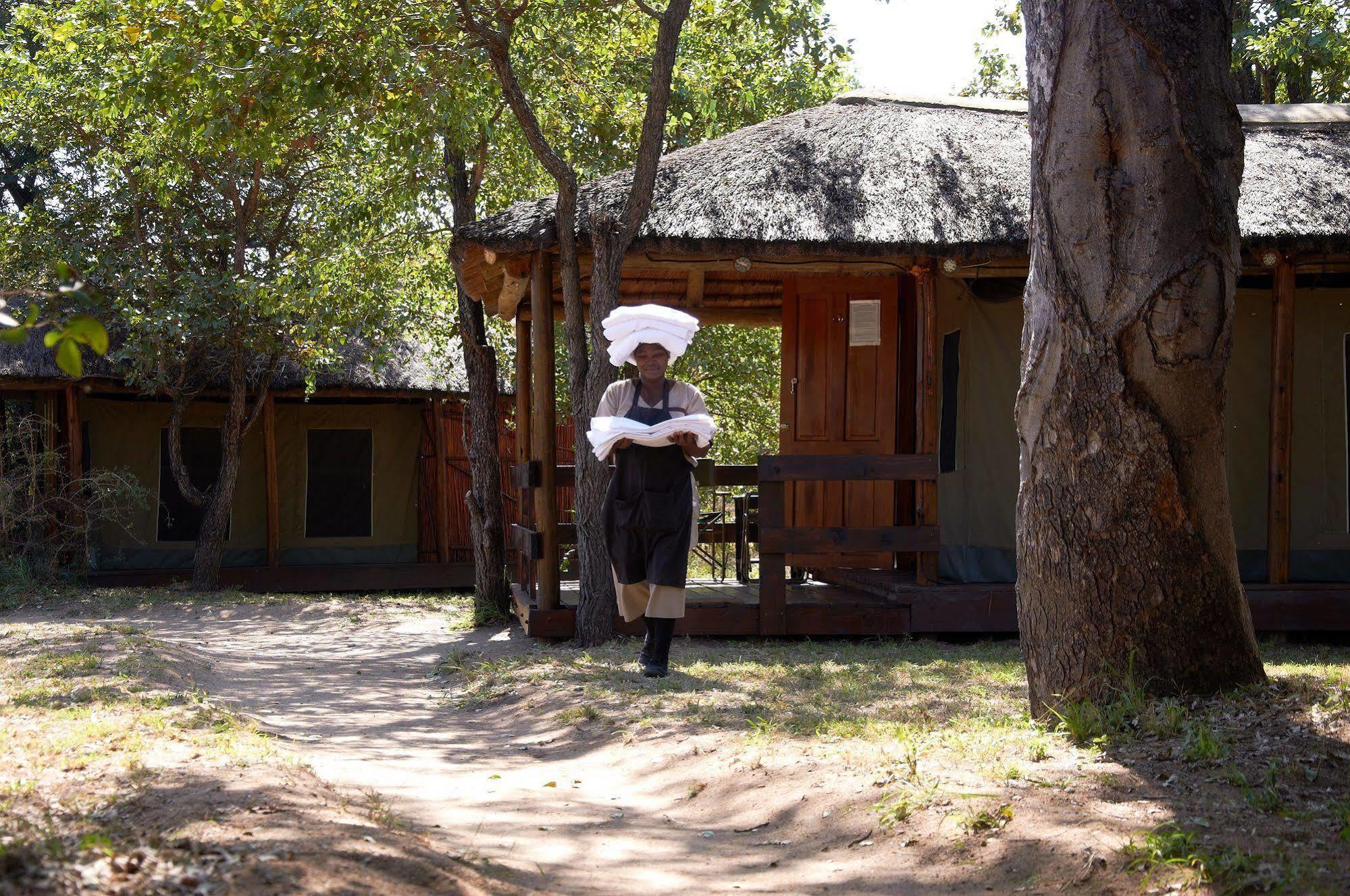 Shindzela Tented Camp Timbavati Game Reserve Eksteriør billede