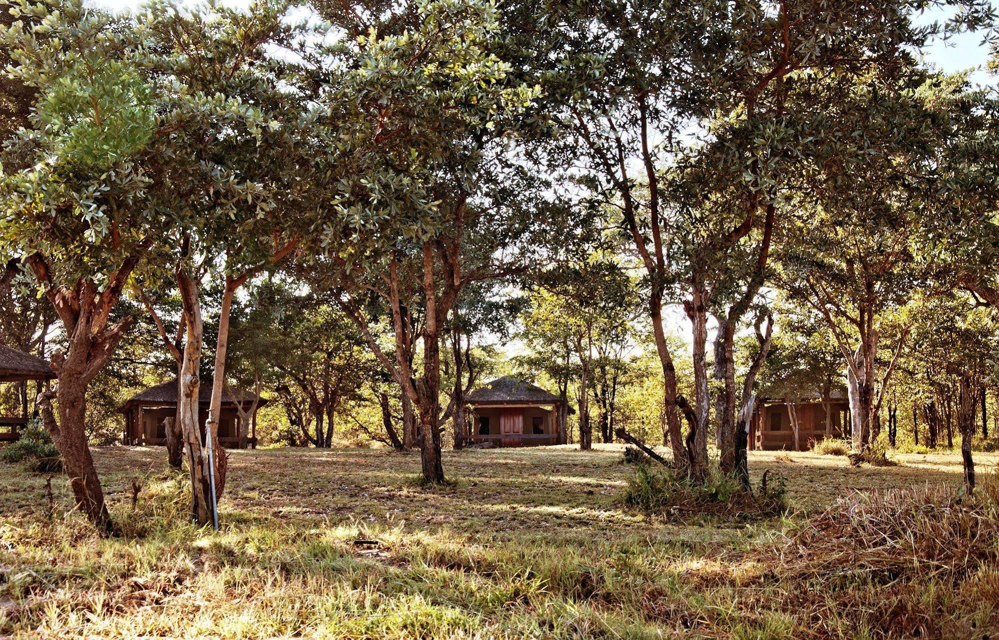 Shindzela Tented Camp Timbavati Game Reserve Eksteriør billede