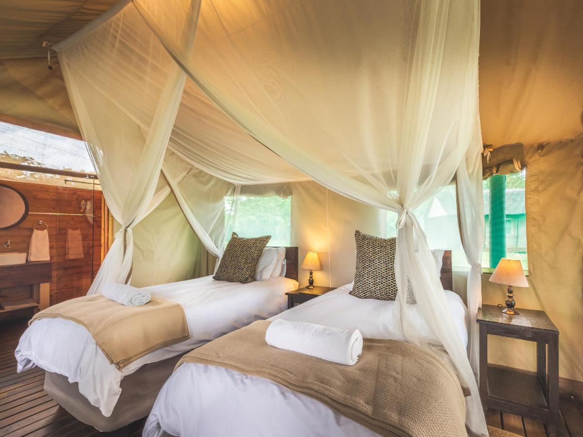 Shindzela Tented Camp Timbavati Game Reserve Eksteriør billede