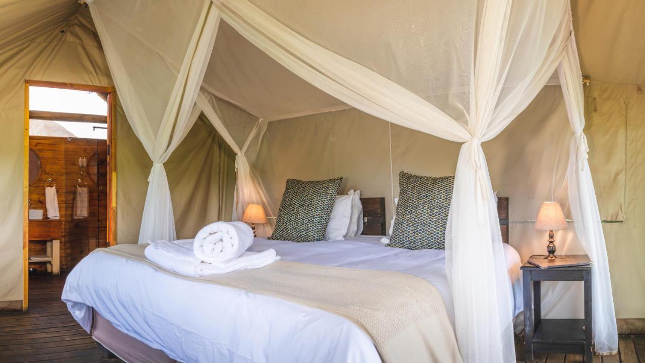 Shindzela Tented Camp Timbavati Game Reserve Eksteriør billede