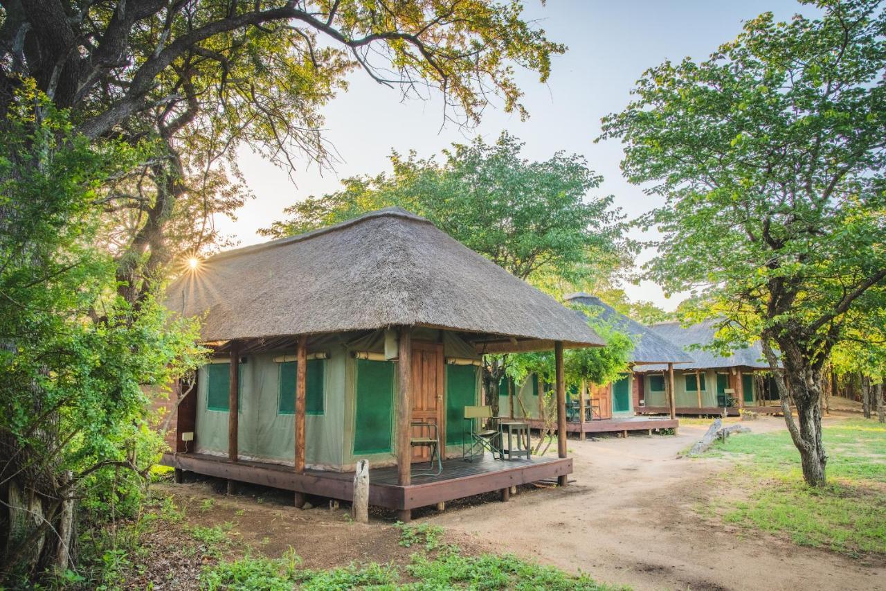Shindzela Tented Camp Timbavati Game Reserve Eksteriør billede