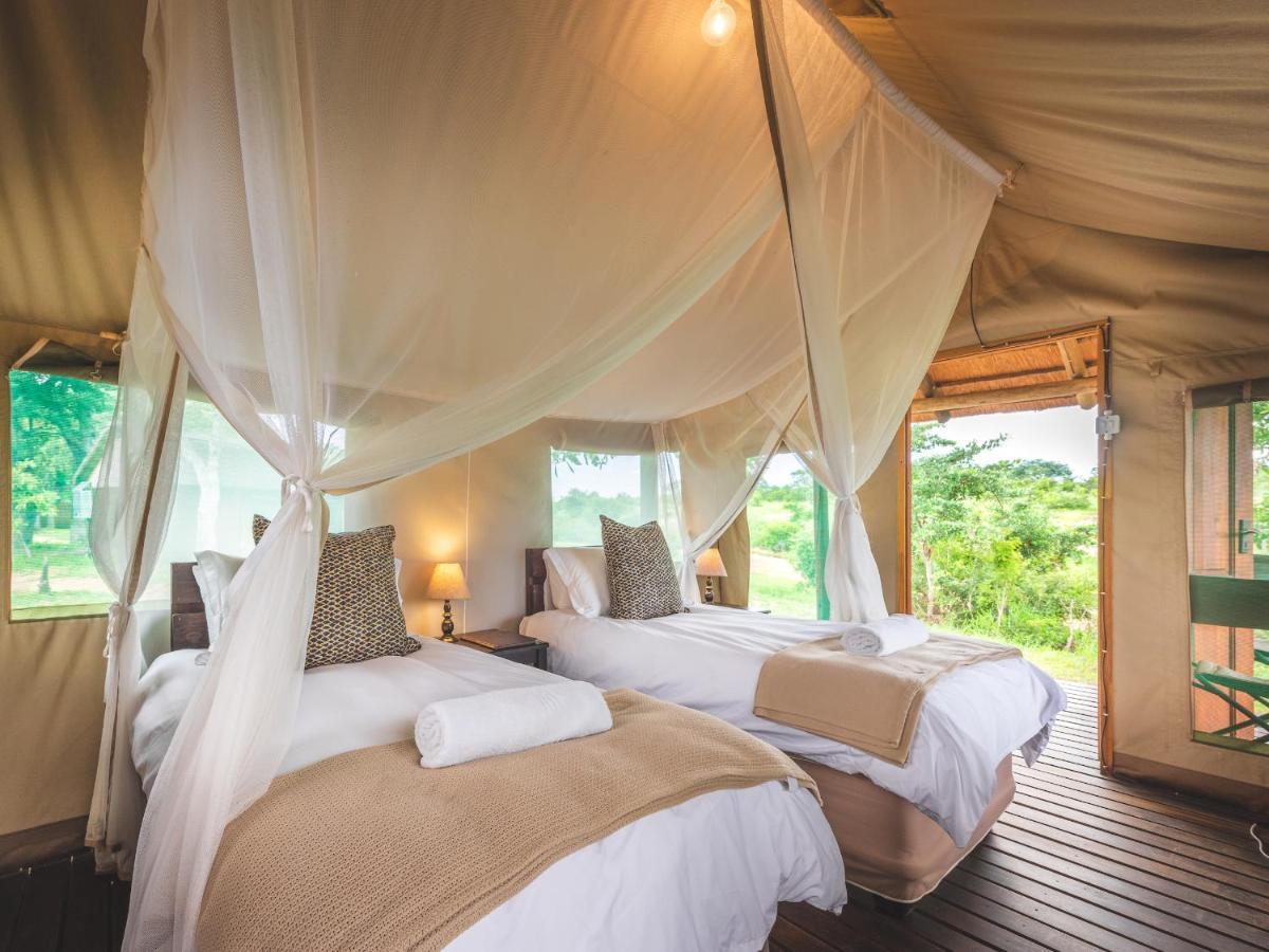 Shindzela Tented Camp Timbavati Game Reserve Eksteriør billede