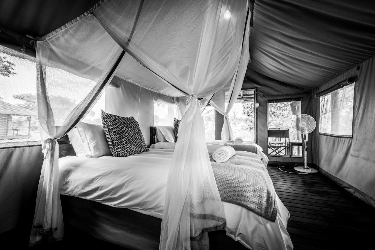 Shindzela Tented Camp Timbavati Game Reserve Eksteriør billede